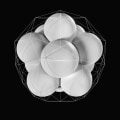 Identifying the Axis of Symmetry: Mastering Algebraic Concepts
